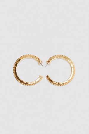 Patrizia Pepe Hoop Earrings Douradas | 3972-GLHBO