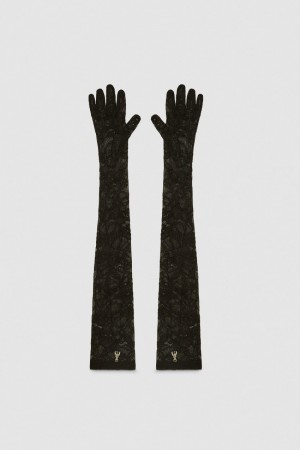 Patrizia Pepe Long Stretch Lace Gloves Pretas | 1578-VLZCK