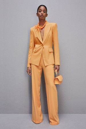 Patrizia Pepe One-button Jacket In Sablè Crepe Fabric Laranja | 4597-XHEJF