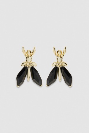 Patrizia Pepe Precious Fly Earrings With Stones Pretas | 9186-DABMF