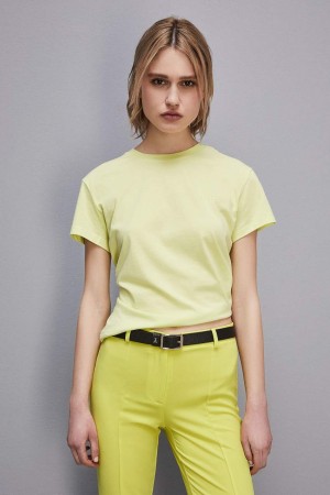 Patrizia Pepe Short-sleeved T-shirt With Logo In Organic Cotton Amarelas | 5690-QOAHD